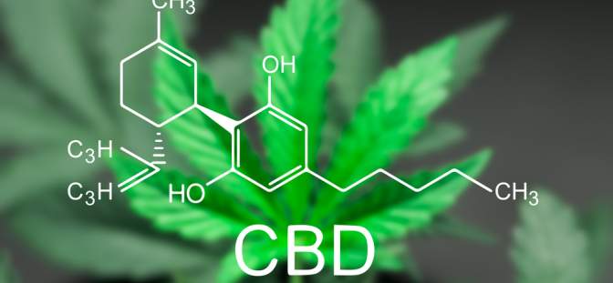 Anxiety and CBD Oil: What’s the Link?