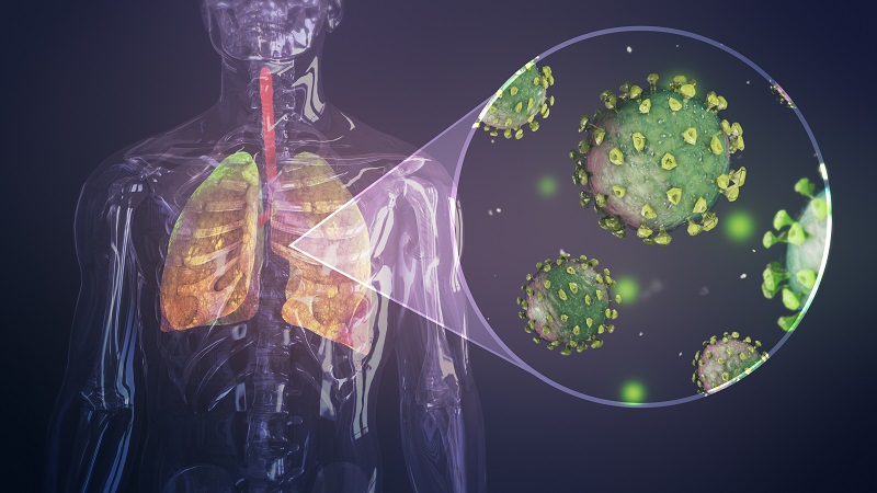 MSC-Derived Exosomes for Cell Therapy