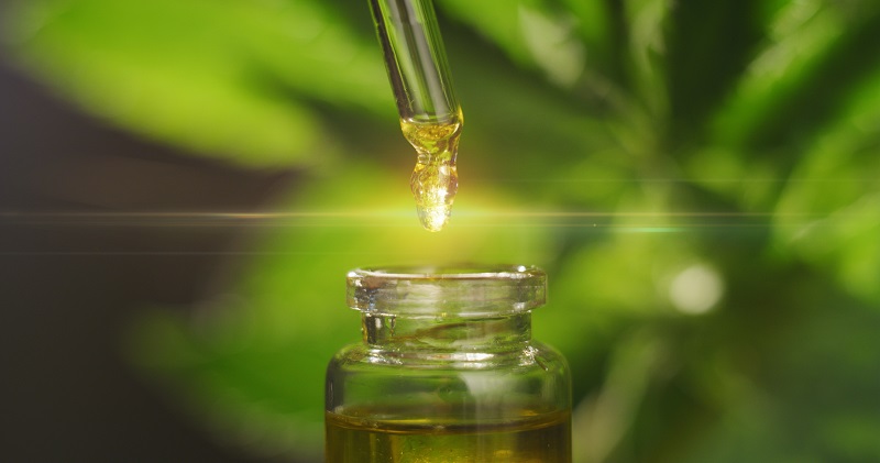 You Can Avoid Purchasing Bad Quality CBD Oil If You Follow These Tips